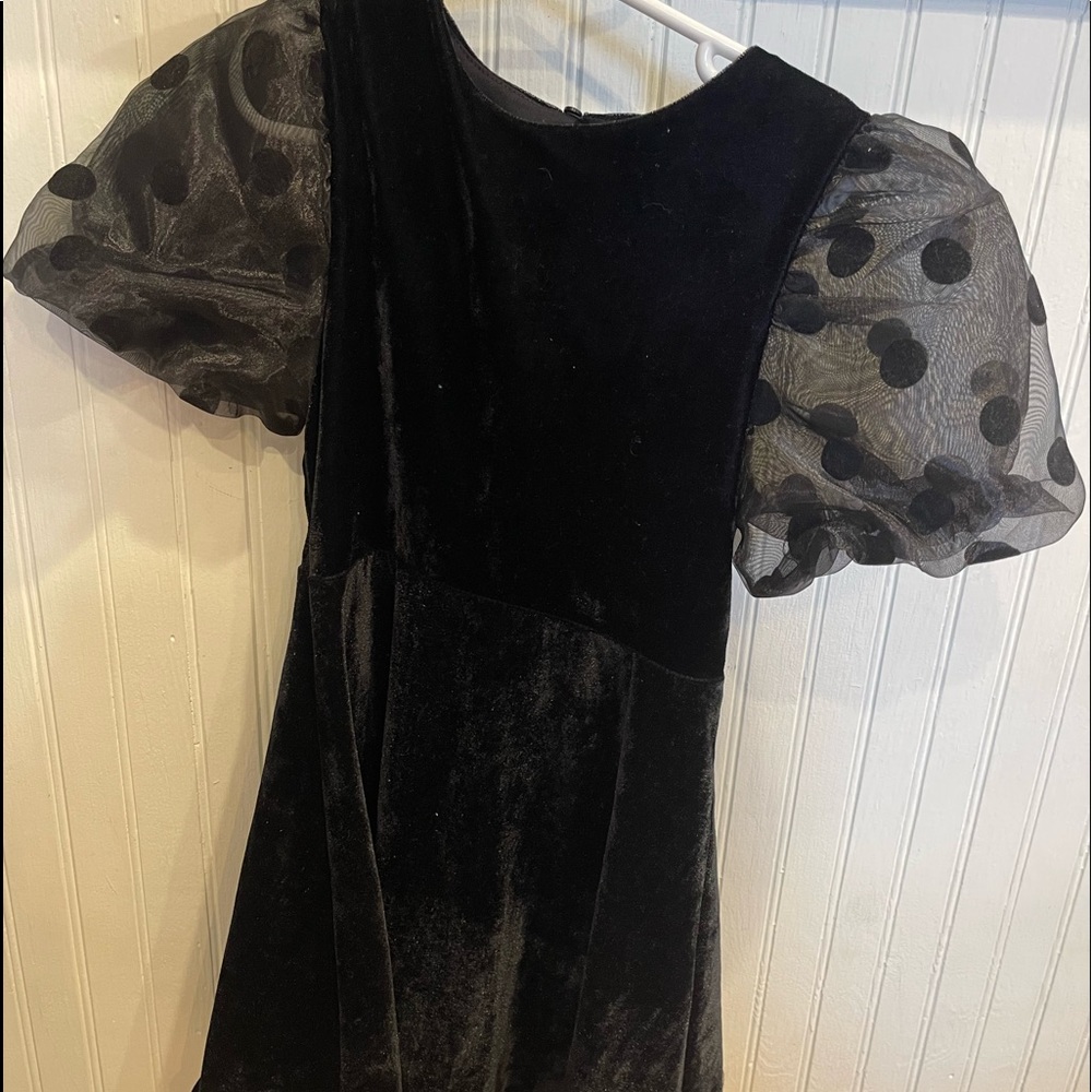 Zara black velvet dress with shear polka dot sheer sleeves.